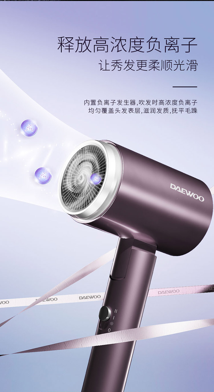 DYCF-18D2电吹风750_04.jpg