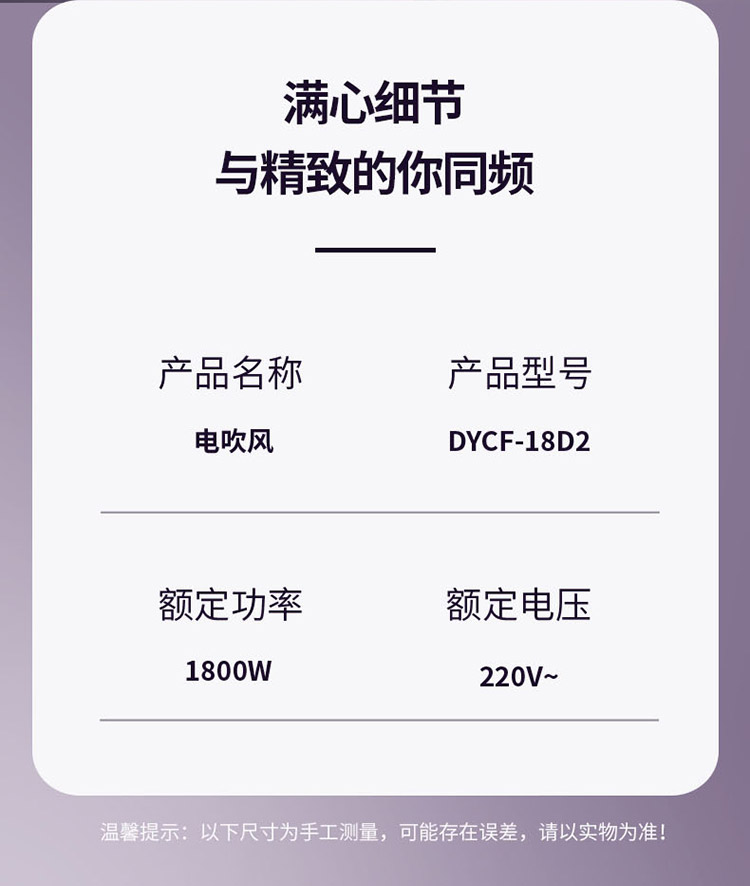 DYCF-18D2电吹风750_12.jpg