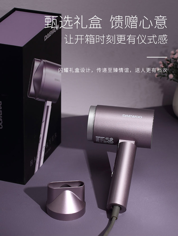 DYCF-18D2电吹风750_11.jpg